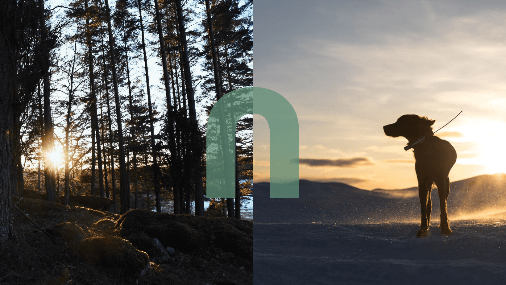 Natlink — connected to nature